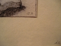 5114
<br/>
Beenstudie
<br/>
<em>Picart, Bernard</em>